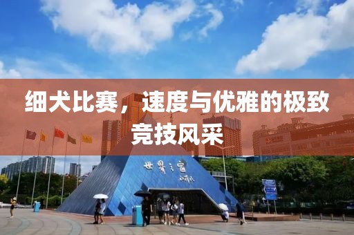 細犬比賽，速度與優雅的極致競技風采