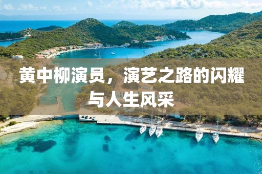 黃中柳演員，演藝之路的閃耀與人生風采