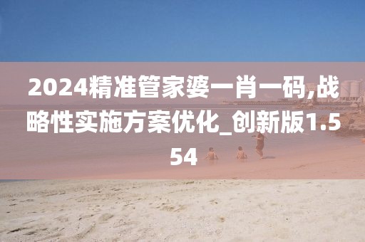 2024精準管家婆一肖一碼,戰略性實施方案優化_創新版1.554