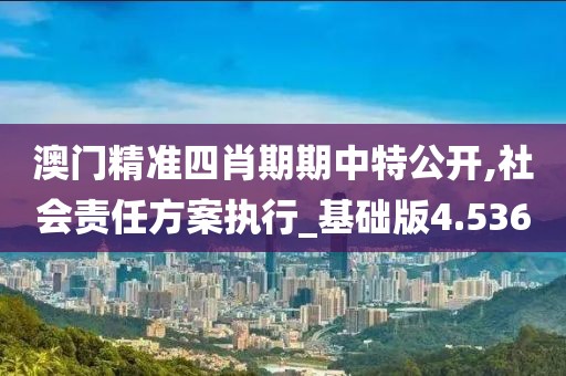 澳門精準四肖期期中特公開,社會責任方案執行_基礎版4.536
