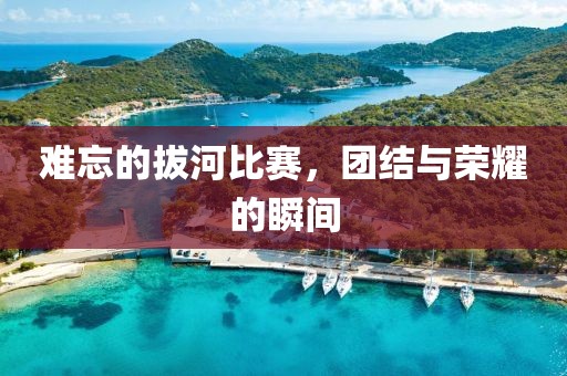 難忘的拔河比賽，團結與榮耀的瞬間