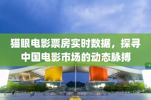 貓眼電影票房實時數據，探尋中國電影市場的動態脈搏