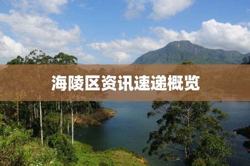 海陵區資訊速遞概覽