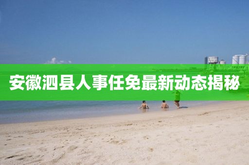 安徽泗縣人事任免最新動態揭秘