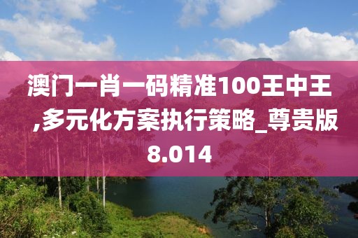 澳門一肖一碼精準100王中王  ,多元化方案執行策略_尊貴版8.014