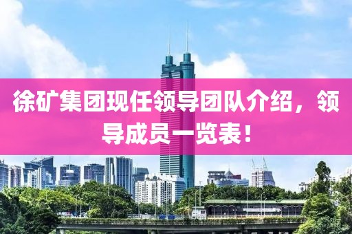 徐礦集團現任領導團隊介紹，領導成員一覽表！