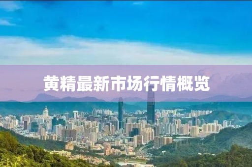 黃精最新市場行情概覽