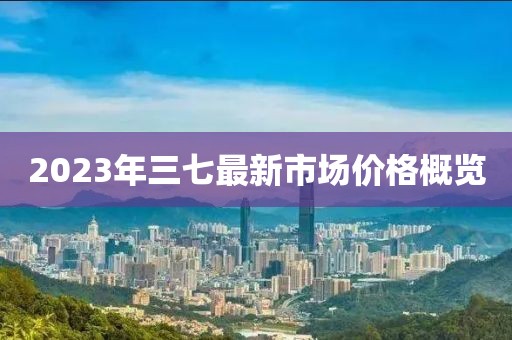 2023年三七最新市場價格概覽
