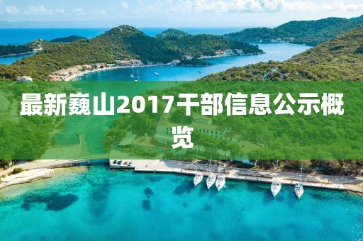 最新巍山2017干部信息公示概覽