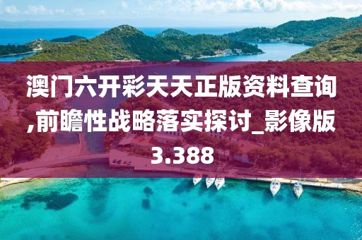 澳門六開彩天天正版資料查詢,前瞻性戰略落實探討_影像版3.388