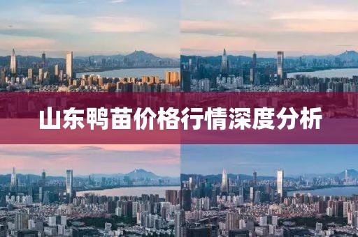 2025年1月 第24頁
