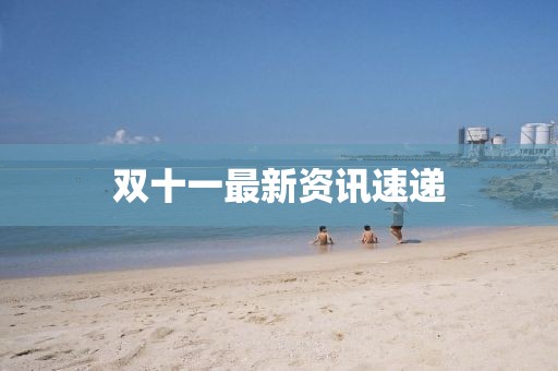 雙十一最新資訊速遞