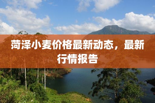 菏澤小麥價格最新動態，最新行情報告