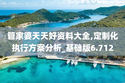 管家婆天天好資料大全,定制化執行方案分析_基礎版6.712
