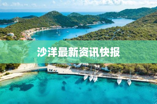 沙洋最新資訊快報