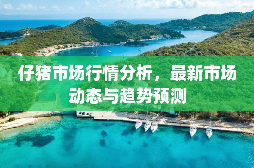 仔豬市場行情分析，最新市場動態與趨勢預測
