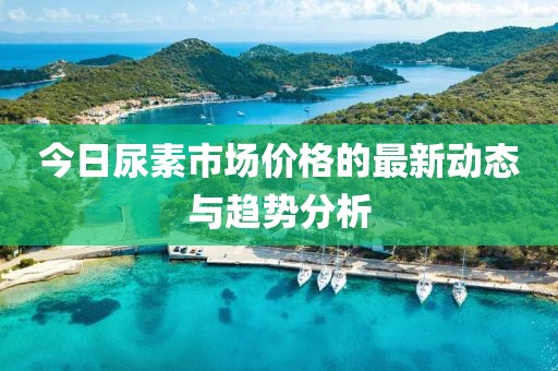 今日尿素市場價格的最新動態與趨勢分析