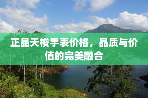 正品天梭手表價格，品質與價值的完美融合