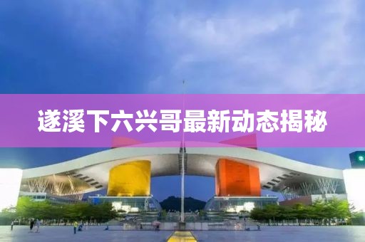 遂溪下六興哥最新動態揭秘