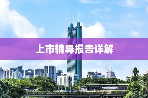 上市輔導報告詳解