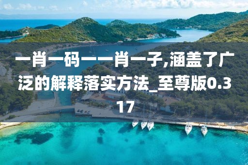 一肖一碼一一肖一子,涵蓋了廣泛的解釋落實方法_至尊版0.317