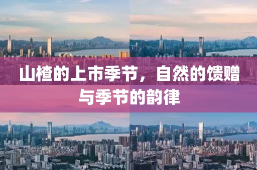 山楂的上市季節，自然的饋贈與季節的韻律