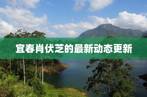 董燁華 第4頁