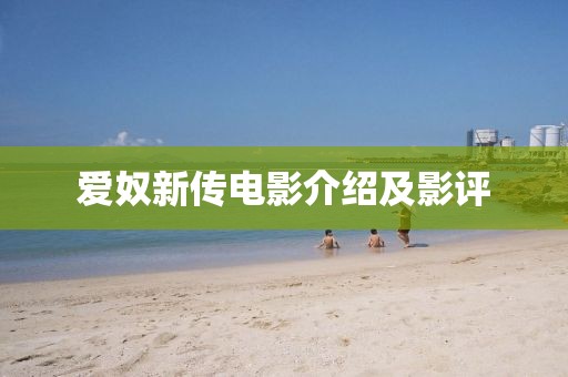 愛奴新傳電影介紹及影評
