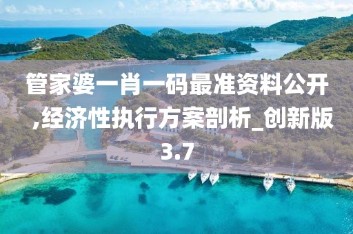 管家婆一肖一碼最準資料公開  ,經濟性執行方案剖析_創新版3.7