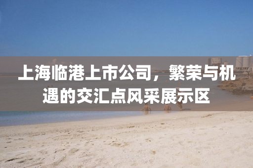上海臨港上市公司，繁榮與機遇的交匯點風采展示區