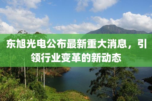 東旭光電公布最新重大消息，引領行業變革的新動態
