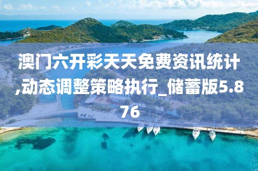 澳門六開彩天天免費資訊統計,動態調整策略執行_儲蓄版5.876
