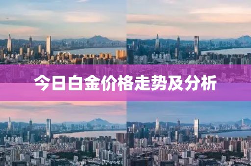 任景平 第4頁