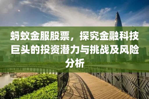 螞蟻金服股票，探究金融科技巨頭的投資潛力與挑戰及風險分析