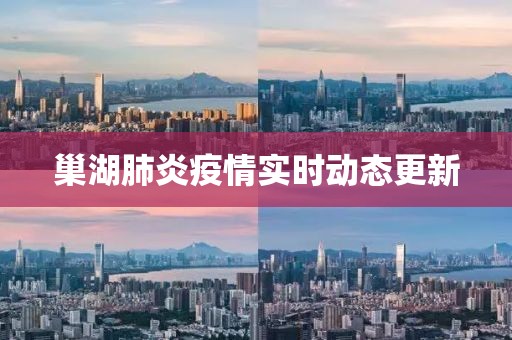 巢湖肺炎疫情實時動態更新
