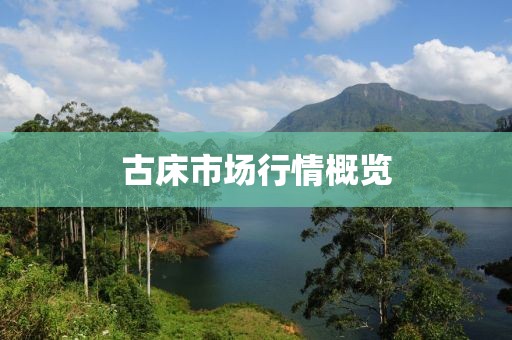 古床市場行情概覽
