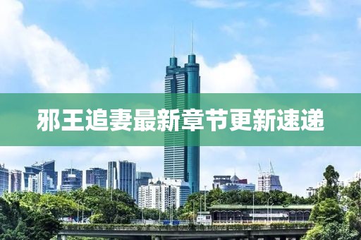 邪王追妻最新章節更新速遞