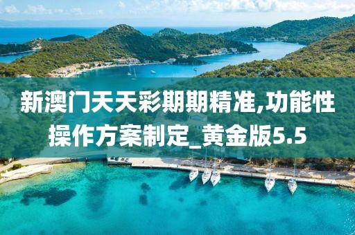 新澳門天天彩期期精準,功能性操作方案制定_黃金版5.5