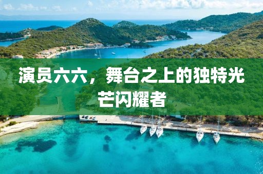 演員六六，舞臺之上的獨特光芒閃耀者