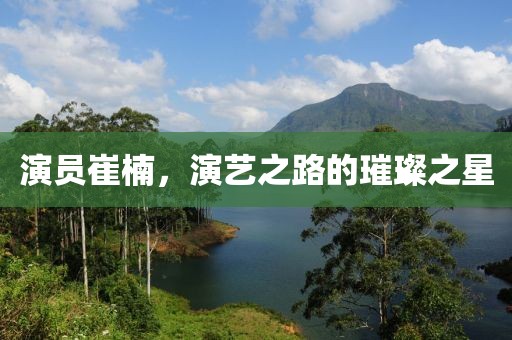 演員崔楠，演藝之路的璀璨之星