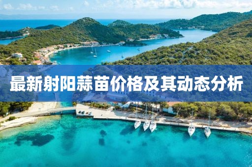 最新射陽蒜苗價格及其動態分析