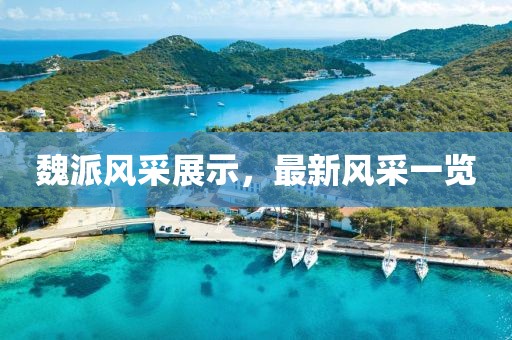 魏派風采展示，最新風采一覽