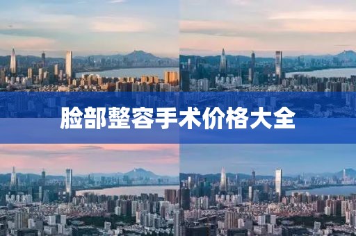 臉部整容手術價格大全