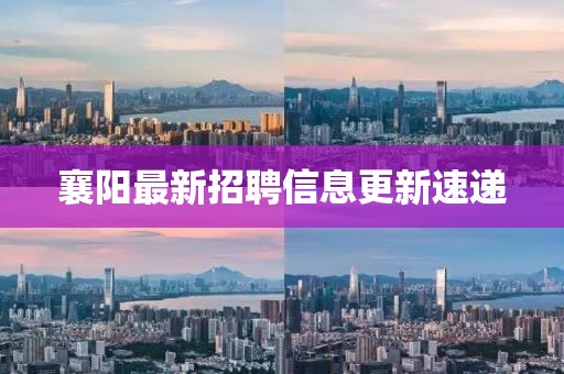 襄陽最新招聘信息更新速遞