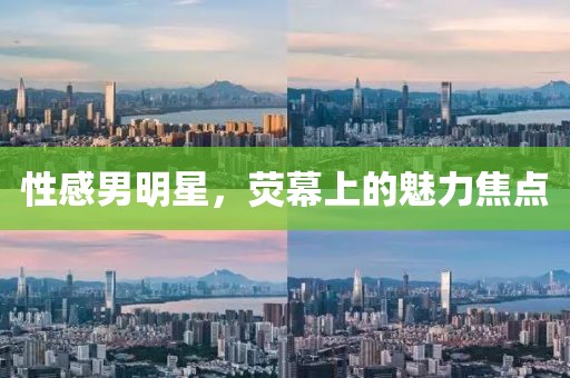 性感男明星，熒幕上的魅力焦點