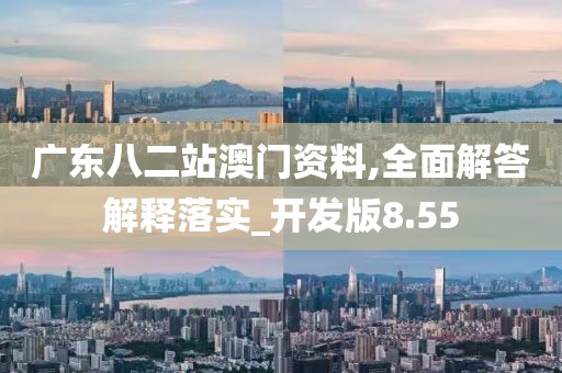 廣東八二站澳門資料,全面解答解釋落實_開發版8.55