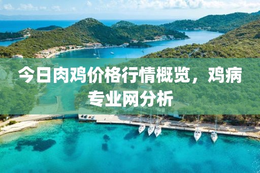 今日肉雞價格行情概覽，雞病專業網分析