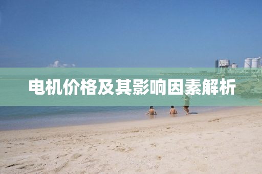 電機價格及其影響因素解析