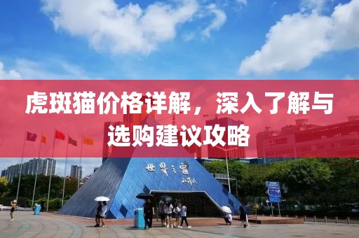 虎斑貓價格詳解，深入了解與選購建議攻略