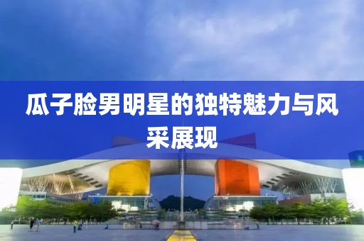 瓜子臉男明星的獨特魅力與風采展現